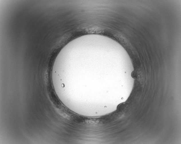 X0000068260690200605121820