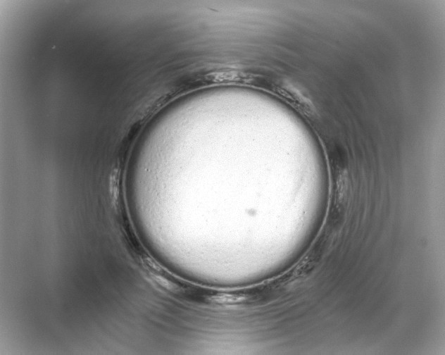 X0000068260691200605121820