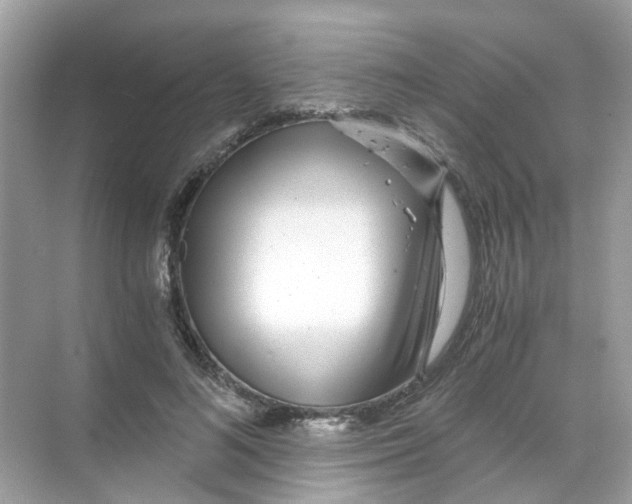 X0000068260692200605121820