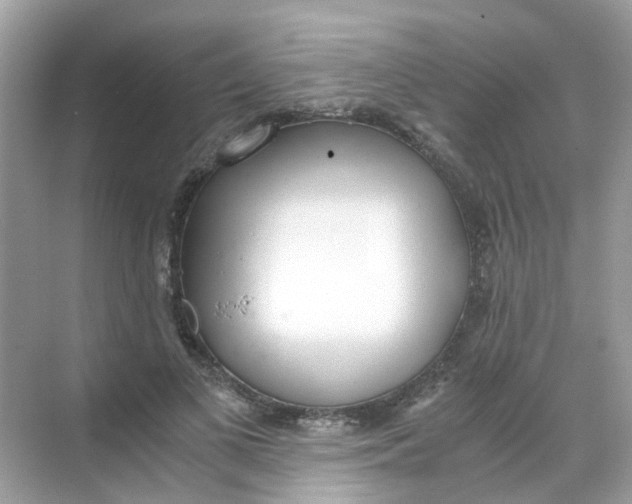 X0000068260693200605121820