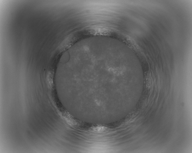 X0000068260695200605121820