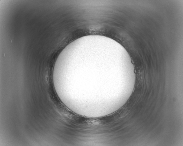 X0000068260698200605121820