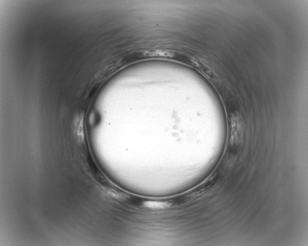 X0000068260699200605121820