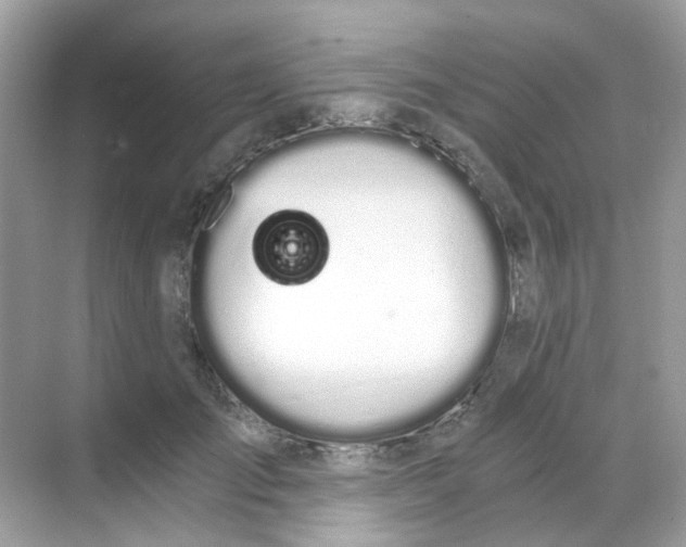 X0000068260701200605121820