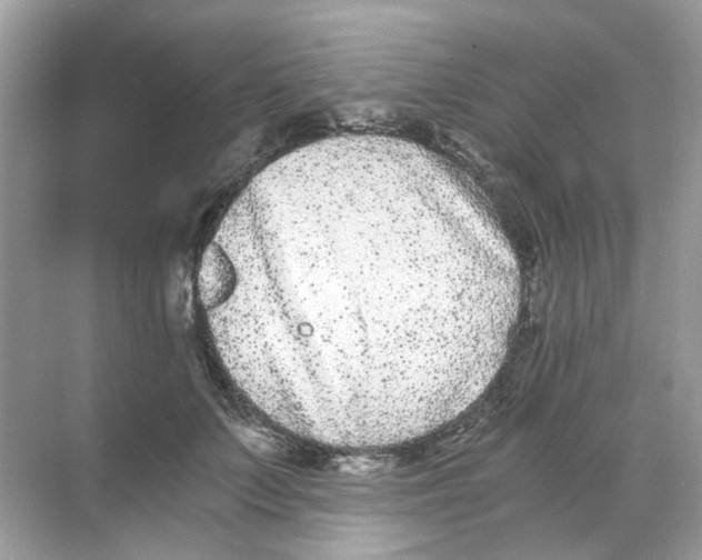 X0000068260703200605121820