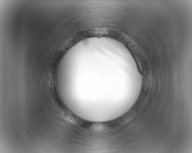 X0000068260704200605121820