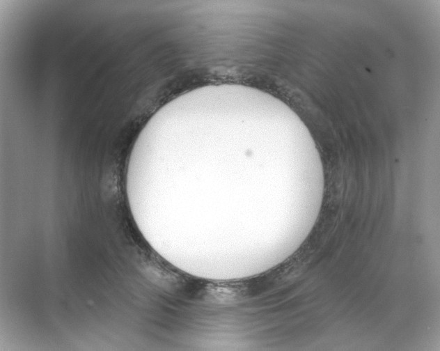 X0000068260706200605121820