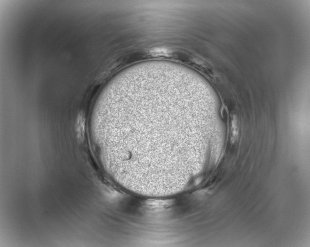 X0000068260707200605121820