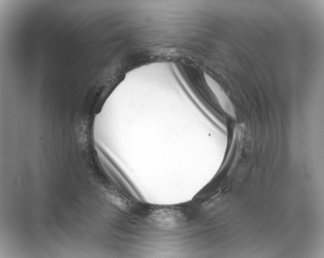 X0000068260708200605121820