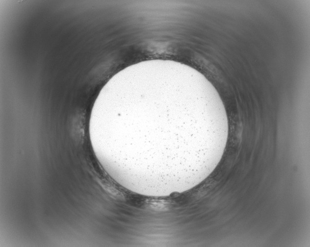 X0000068260710200605121820