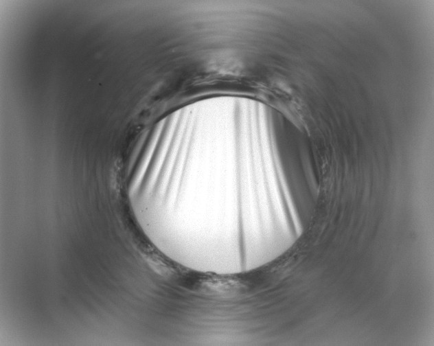 X0000068260712200605121820