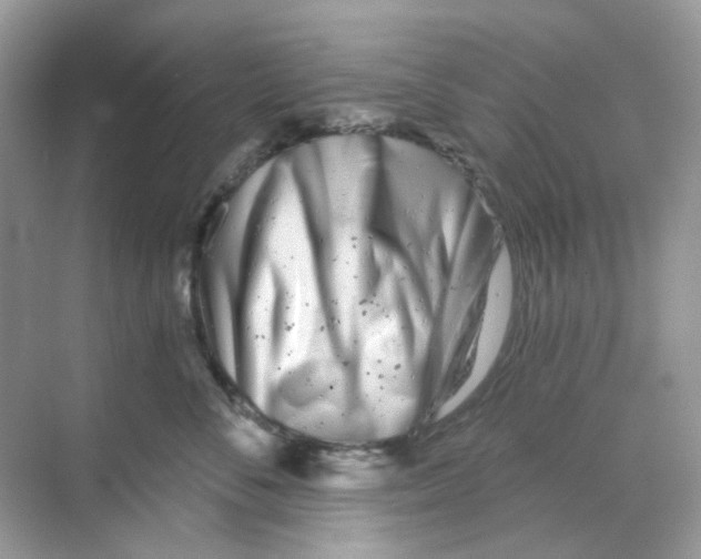 X0000068260716200605121820