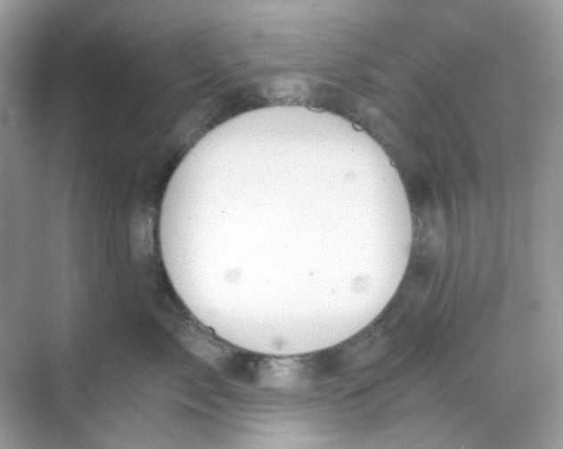 X0000068260717200605121820