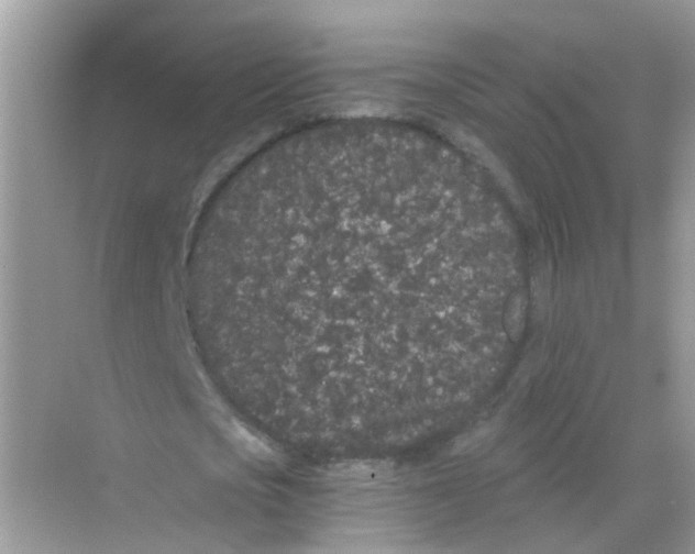 X0000068260721200605121819