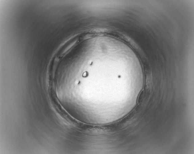 X0000068260722200605121819