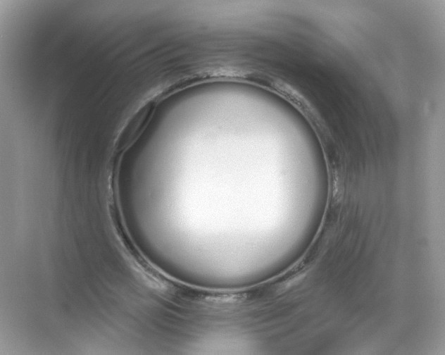 X0000068260725200605121819