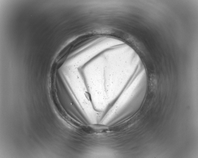 X0000068260726200605121819