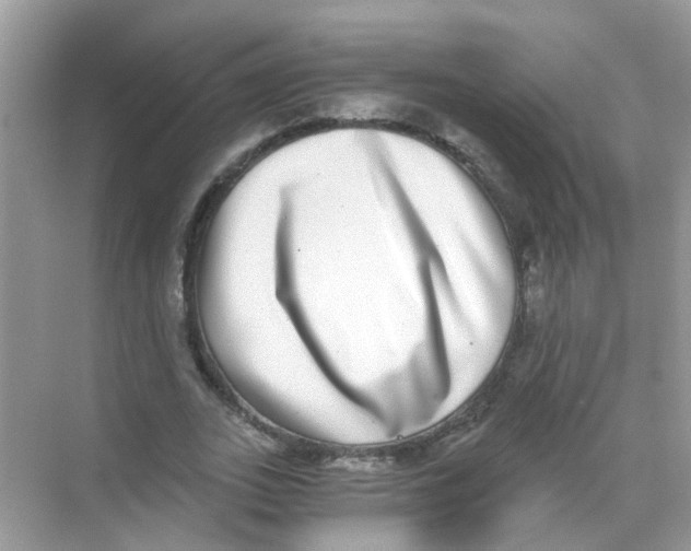 X0000068260727200605121819