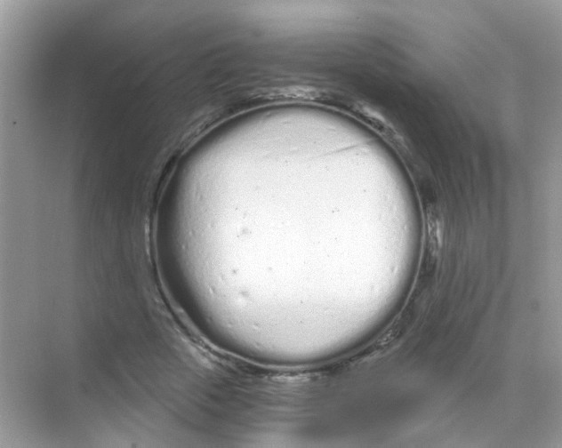 X0000068260729200605121819