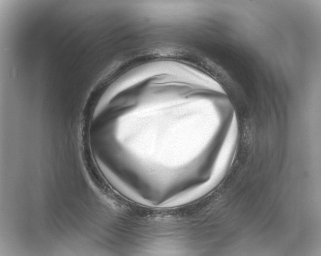 X0000068260730200605121819