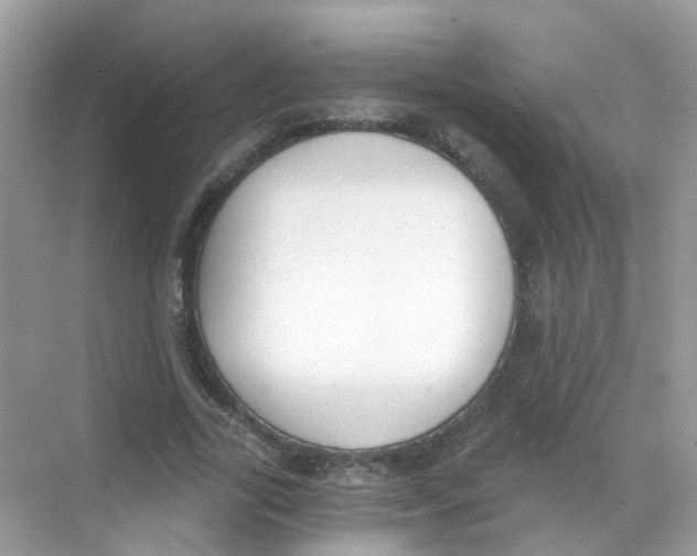 X0000068260731200605121819