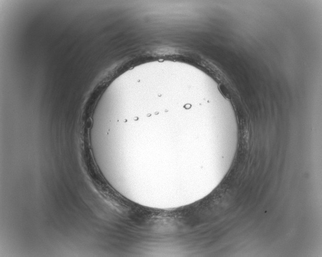 X0000068260732200605121819