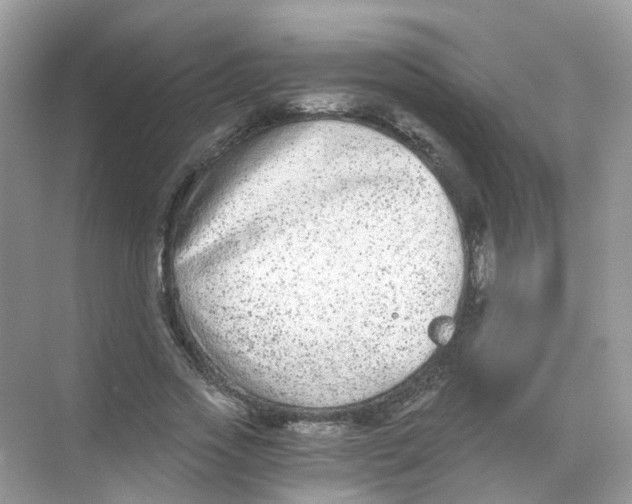 X0000068260733200605121819