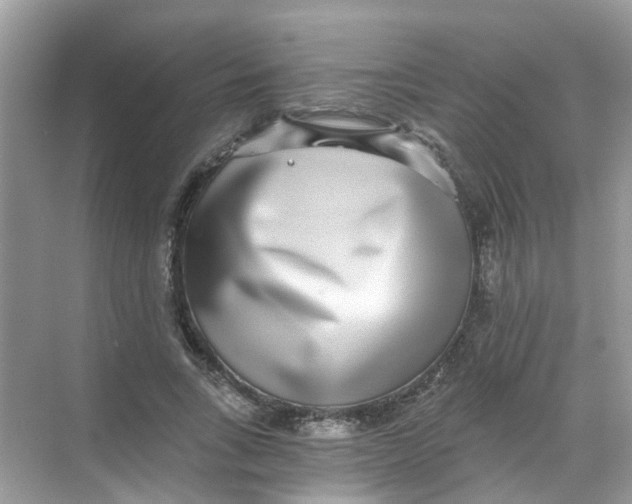 X0000068260735200605121819