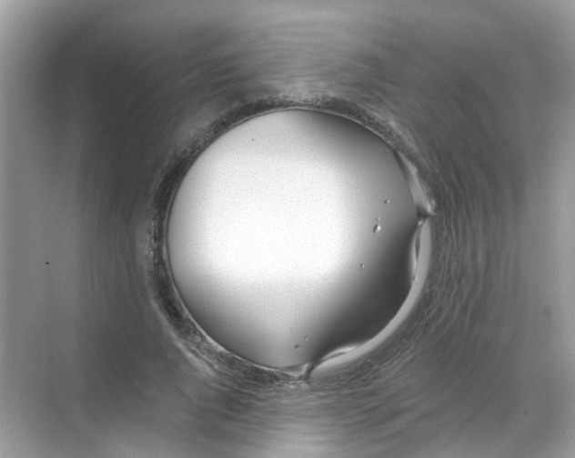 X0000068260736200605121819