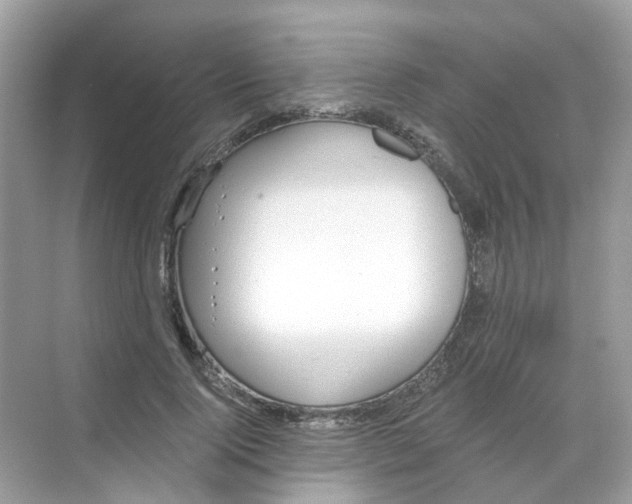 X0000068260740200605121819