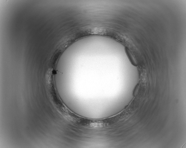 X0000068260744200605121820