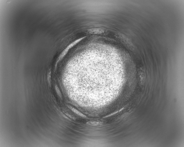 X0000068260745200605121820