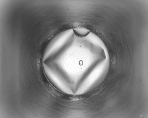 X0000068260746200605121820