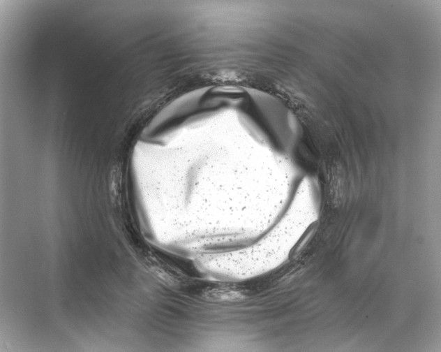 X0000068260747200605121820