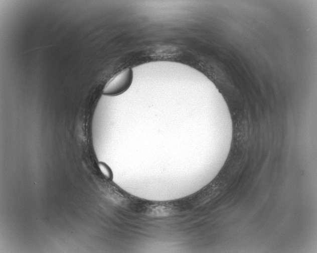 X0000068260755200605121820