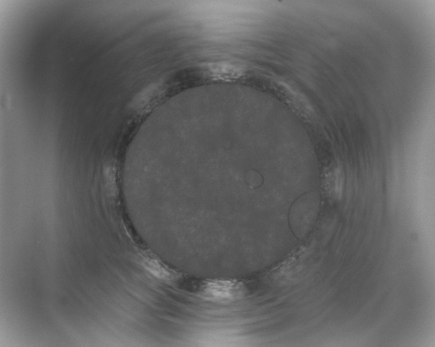 X0000068260757200605121820