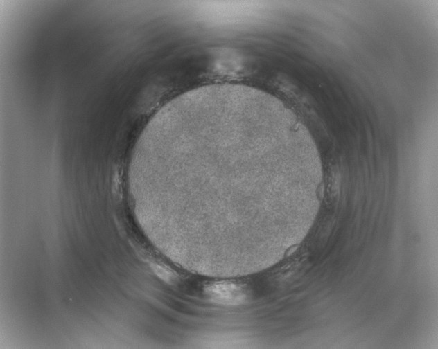 X0000068260759200605121820