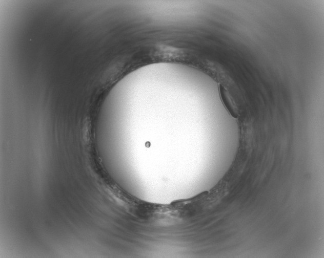 X0000068260760200605121820