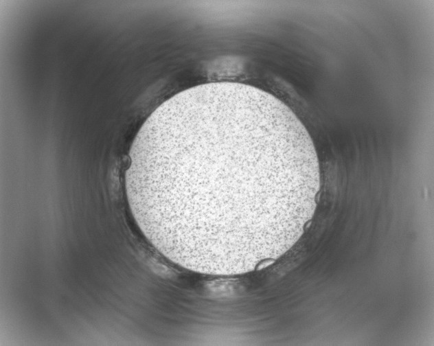 X0000068260761200605121820