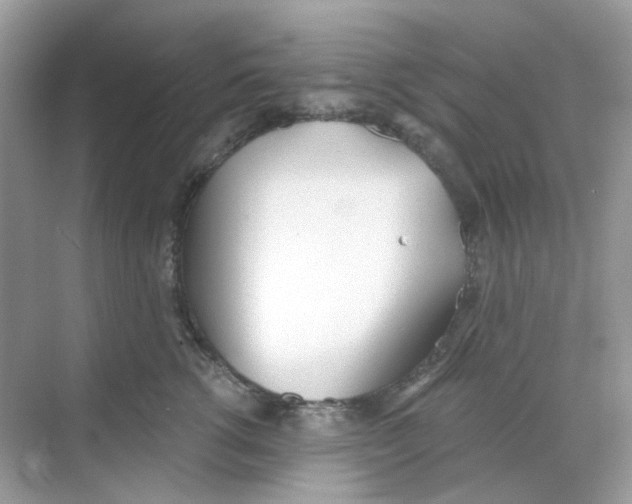 X0000068260762200605121820