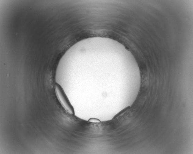 X0000068260764200605121820