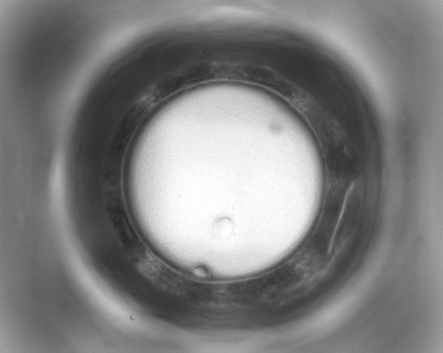 X0000068260765200605121820