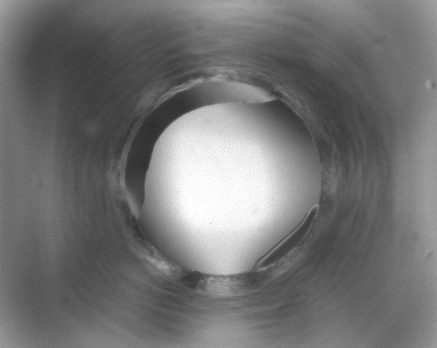 X0000068260766200605121820