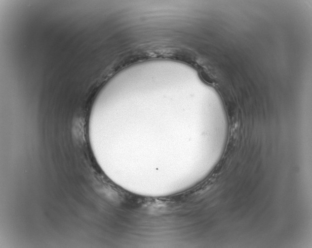 X0000068260772200605121819