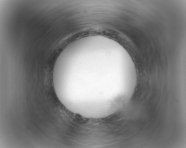 X0000068260773200605121819