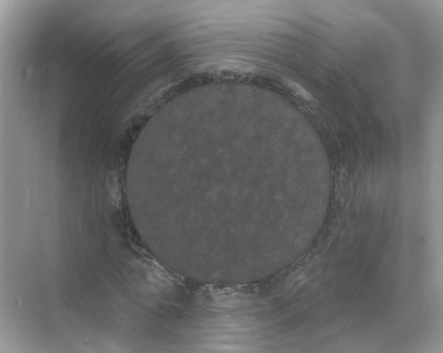 X0000068260774200605121819