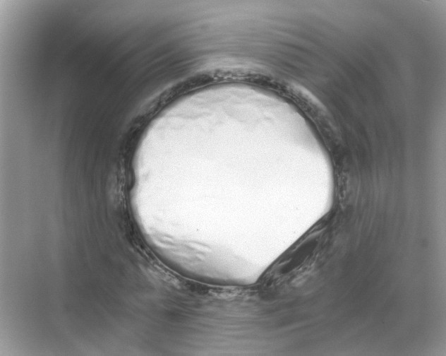 X0000068260775200605121819