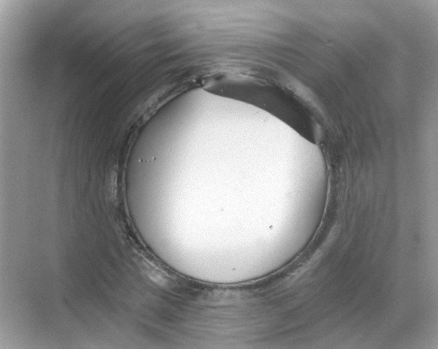 X0000068260777200605121819