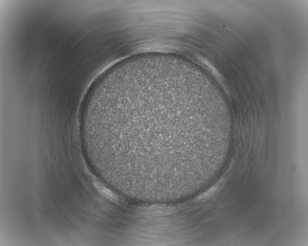 X0000068260779200605121819