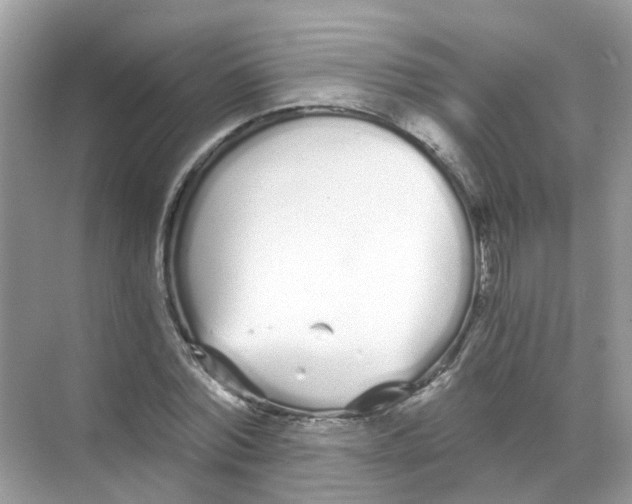 X0000068260780200605121819